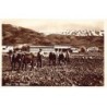 Rare collectable postcards of LEBANON. Vintage Postcards of LEBANON