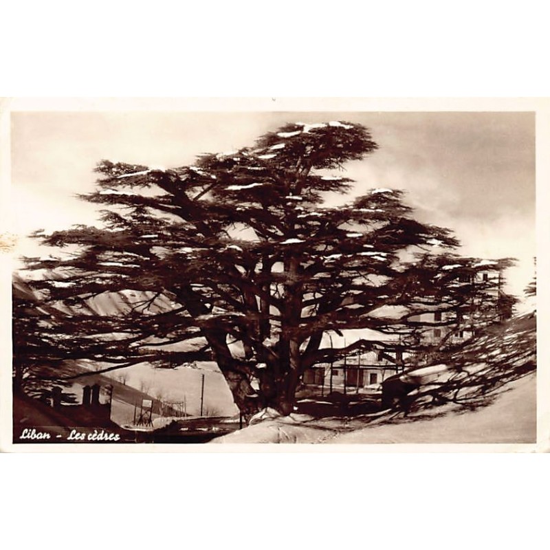 Rare collectable postcards of LEBANON. Vintage Postcards of LEBANON