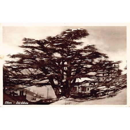 Rare collectable postcards of LEBANON. Vintage Postcards of LEBANON