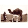 Rare collectable postcards of LEBANON. Vintage Postcards of LEBANON