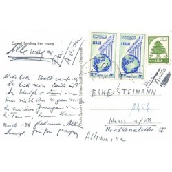 Rare collectable postcards of LEBANON. Vintage Postcards of LEBANON