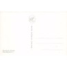 Rare collectable postcards of LEBANON. Vintage Postcards of LEBANON