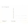 Rare collectable postcards of LEBANON. Vintage Postcards of LEBANON