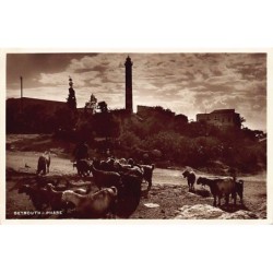 Rare collectable postcards of LEBANON. Vintage Postcards of LEBANON