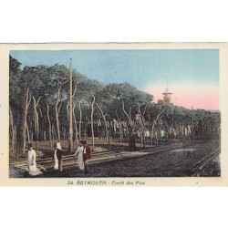 Rare collectable postcards of LEBANON. Vintage Postcards of LEBANON