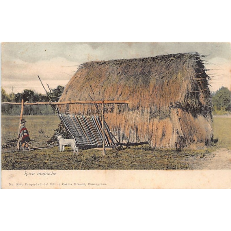 Rare collectable postcards of CHILE. Vintage Postcards of CHILE