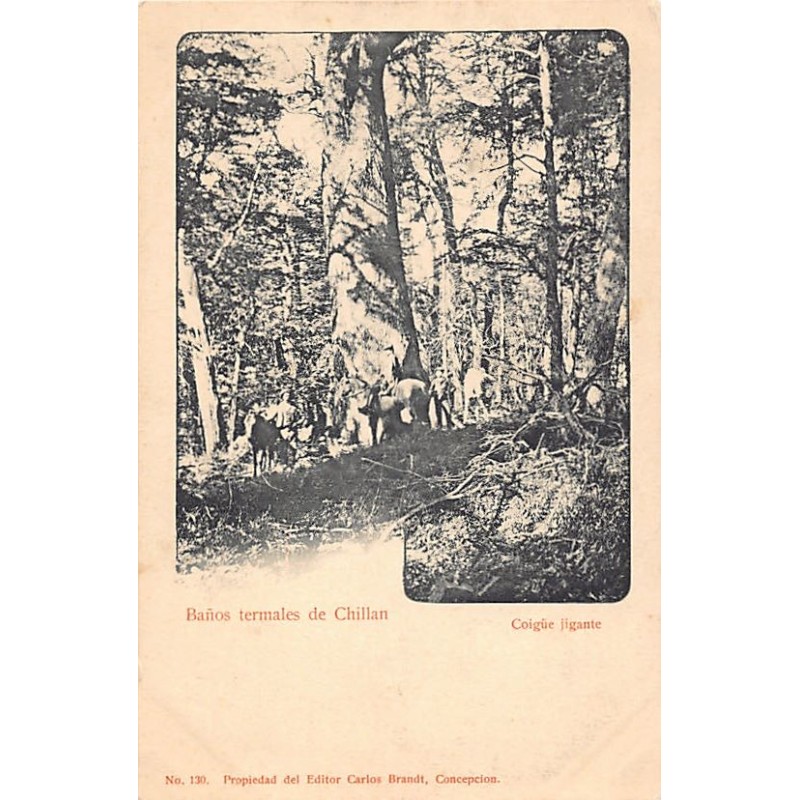 Rare collectable postcards of CHILE. Vintage Postcards of CHILE