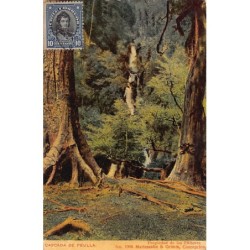 Rare collectable postcards of CHILE. Vintage Postcards of CHILE