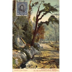 Rare collectable postcards of CHILE. Vintage Postcards of CHILE