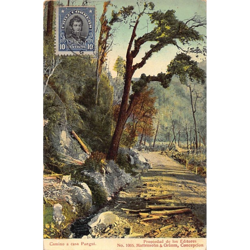 Rare collectable postcards of CHILE. Vintage Postcards of CHILE