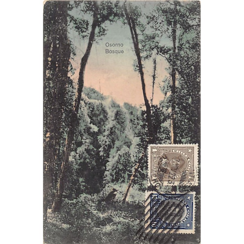 Rare collectable postcards of CHILE. Vintage Postcards of CHILE