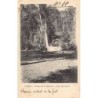 Rare collectable postcards of CHILE. Vintage Postcards of CHILE