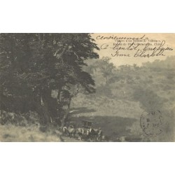 Rare collectable postcards of CHILE. Vintage Postcards of CHILE