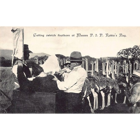 Rare collectable postcards of USA. Vintage Postcards of USA