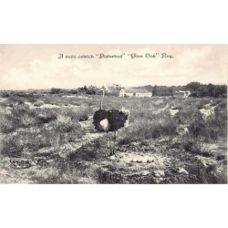 Rare collectable postcards of USA. Vintage Postcards of USA