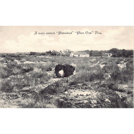 Rare collectable postcards of USA. Vintage Postcards of USA