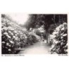 Rare collectable postcards of PORTUGAL. Vintage Postcards of PORTUGAL
