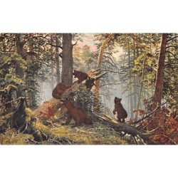 Rare collectable postcards of RUSSIA. Vintage Postcards of RUSSIA