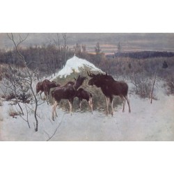 Rare collectable postcards of RUSSIA. Vintage Postcards of RUSSIA