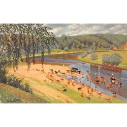 Rare collectable postcards of RUSSIA. Vintage Postcards of RUSSIA