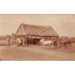 Rare collectable postcards of UKRAINE. Vintage Postcards of UKRAINE