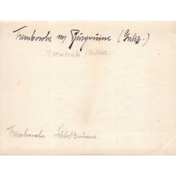 Rare collectable postcards of UKRAINE. Vintage Postcards of UKRAINE