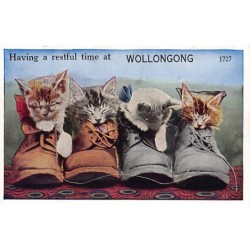 Rare collectable postcards of AUSTRALIA. Vintage Postcards of AUSTRALIA