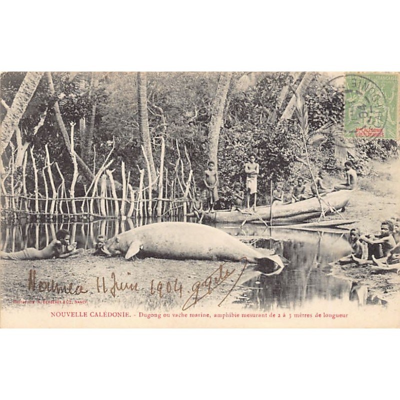 Rare collectable postcards of NOUVELLE-CALÉDONIE NEW CALEDONIA. Vintage Postcards of NOUVELLE-CALÉDONIE NEW CALEDONIA