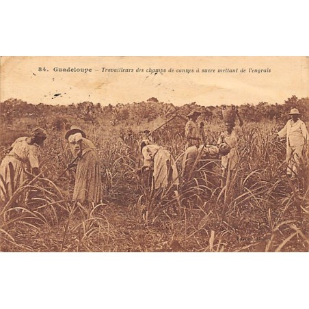 Rare collectable postcards of GUADELOUPE. Vintage Postcards of GUADELOUPE