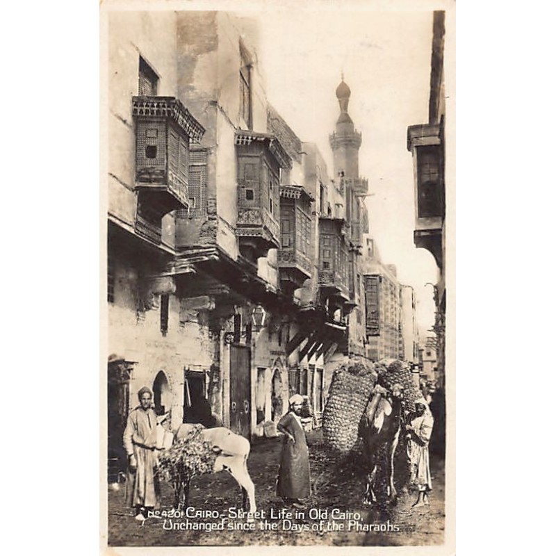 Rare collectable postcards of EGYPT. Vintage Postcards of EGYPT