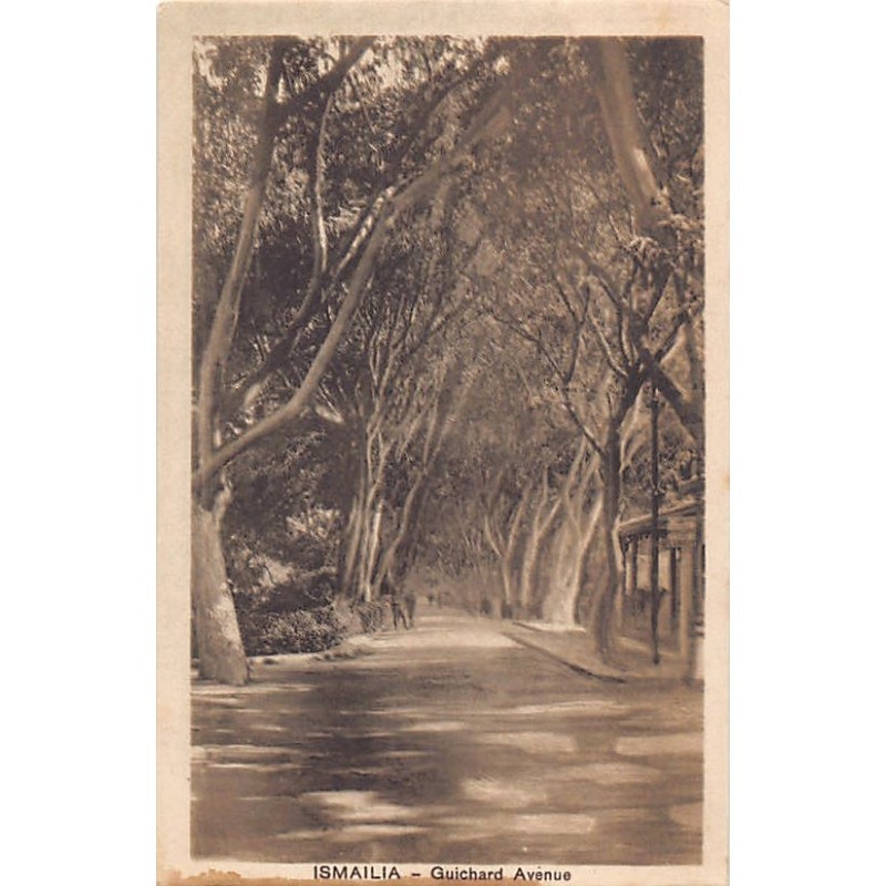 Rare collectable postcards of EGYPT. Vintage Postcards of EGYPT