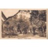 Rare collectable postcards of EGYPT. Vintage Postcards of EGYPT