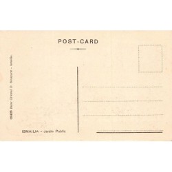 Rare collectable postcards of EGYPT. Vintage Postcards of EGYPT