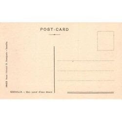 Rare collectable postcards of EGYPT. Vintage Postcards of EGYPT
