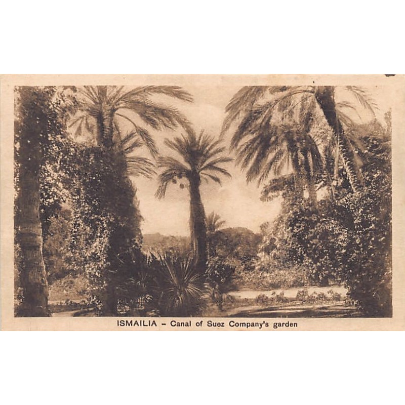 Rare collectable postcards of EGYPT. Vintage Postcards of EGYPT