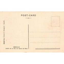 Rare collectable postcards of EGYPT. Vintage Postcards of EGYPT