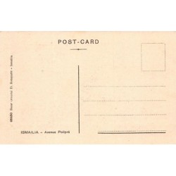 Rare collectable postcards of EGYPT. Vintage Postcards of EGYPT