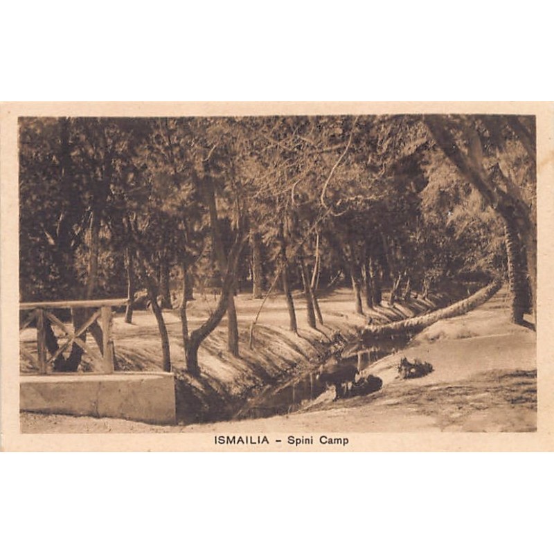 Rare collectable postcards of EGYPT. Vintage Postcards of EGYPT