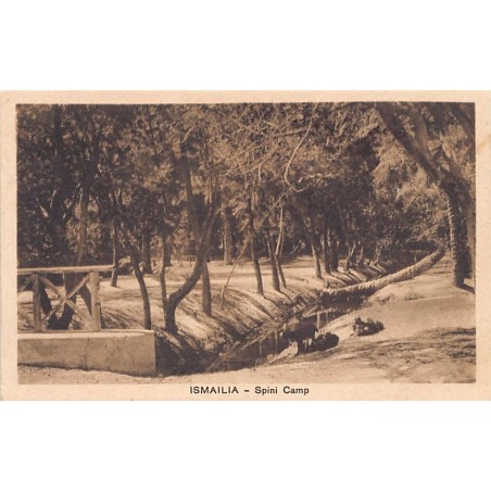 Rare collectable postcards of EGYPT. Vintage Postcards of EGYPT