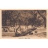 Rare collectable postcards of EGYPT. Vintage Postcards of EGYPT