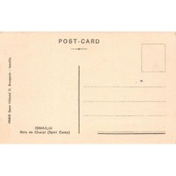 Rare collectable postcards of EGYPT. Vintage Postcards of EGYPT