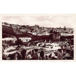 Rare collectable postcards of MOROCCO MAROC. Vintage Postcards of MOROCCO MAROC