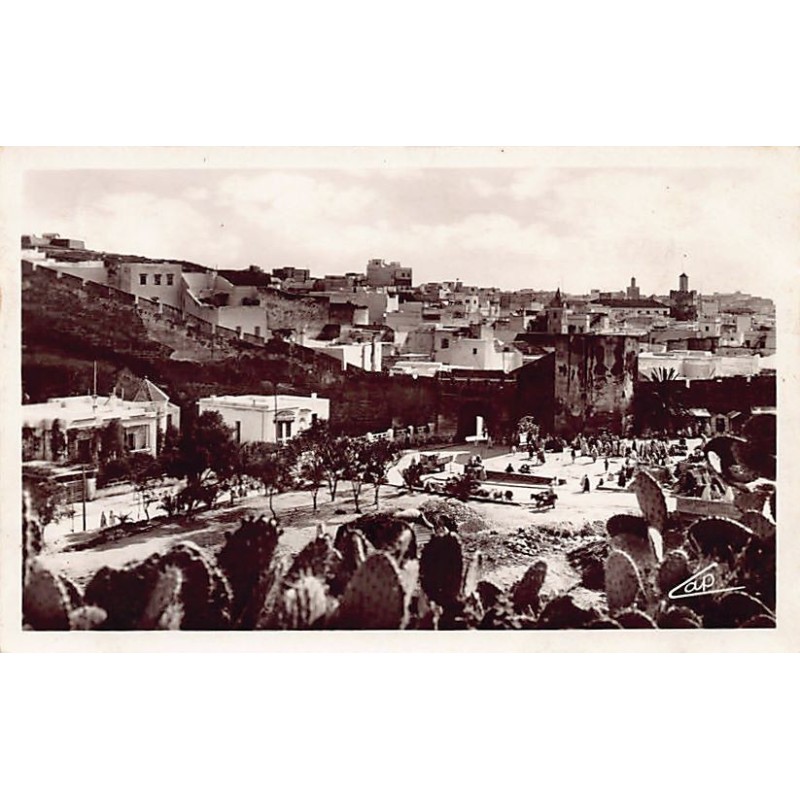 Rare collectable postcards of MOROCCO MAROC. Vintage Postcards of MOROCCO MAROC
