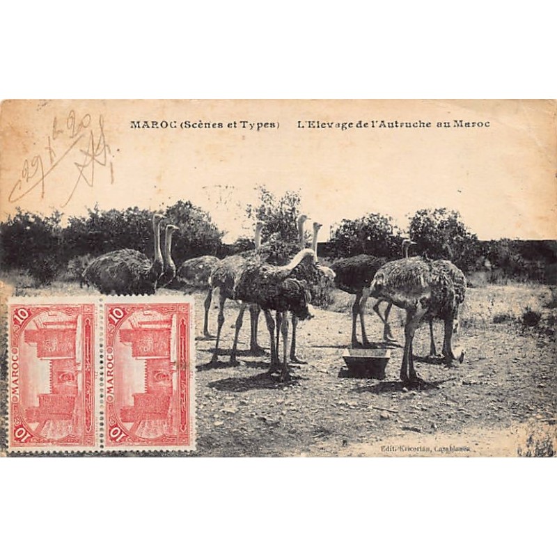 Rare collectable postcards of MOROCCO MAROC. Vintage Postcards of MOROCCO MAROC