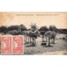 Rare collectable postcards of MOROCCO MAROC. Vintage Postcards of MOROCCO MAROC