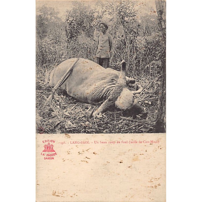 Rare collectable postcards of VIET-NAM. Vintage Postcards of VIET-NAM