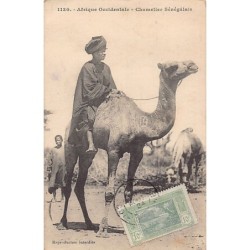 Rare collectable postcards of SENEGAL. Vintage Postcards of SENEGAL