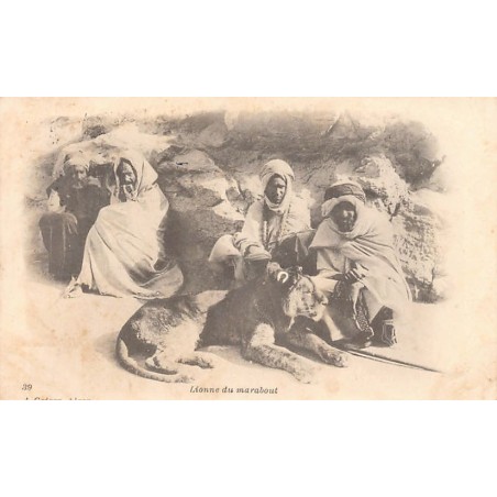 Rare collectable postcards of ALGERIA ALGÉRIE. Vintage Postcards of ALGERIA ALGÉRIE