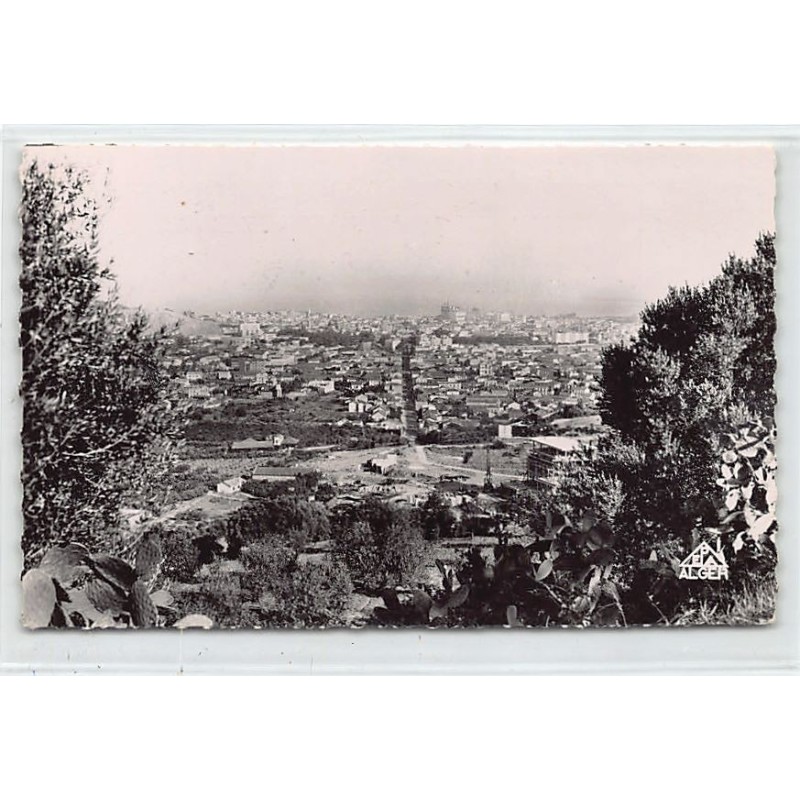 Rare collectable postcards of ALGERIA ALGÉRIE. Vintage Postcards of ALGERIA ALGÉRIE