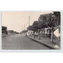 Rare collectable postcards of ALGERIA ALGÉRIE. Vintage Postcards of ALGERIA ALGÉRIE